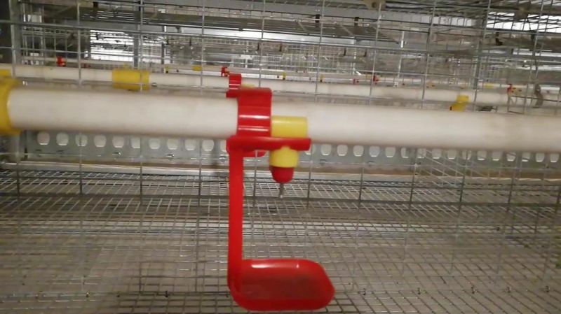 Poultry Automatic Water Line System Drip Cup