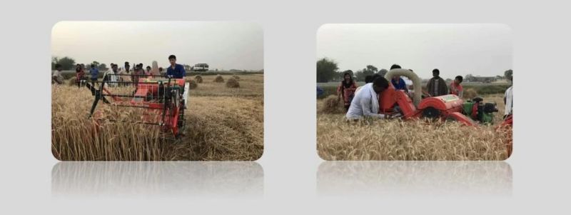 Deyang K-Bos Mini Combine Harvester for Rice/Paddy/Wheat/Soybean