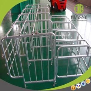 Hot Sale Gestation Stall / Individual Stallwith High Quality for Sows