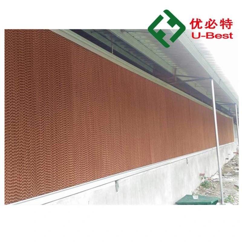 Automatic Poultry Equipment for Broilers Feeding and Drinking System Chicken House Equipment, Poultry for Broilers and Breeder