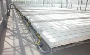 Greenhouse Nursery Seeding Bed Aquaponics Rolling Bench Hydroponics System