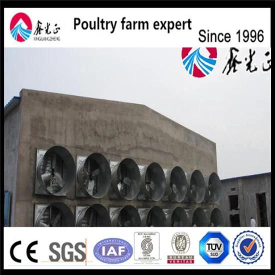 Poultry Chicken Farm Broiler House