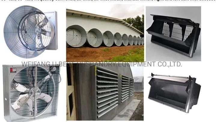 Animal Husbandry Equipment Best Products Drinking Line for Broiler Farm Equipment