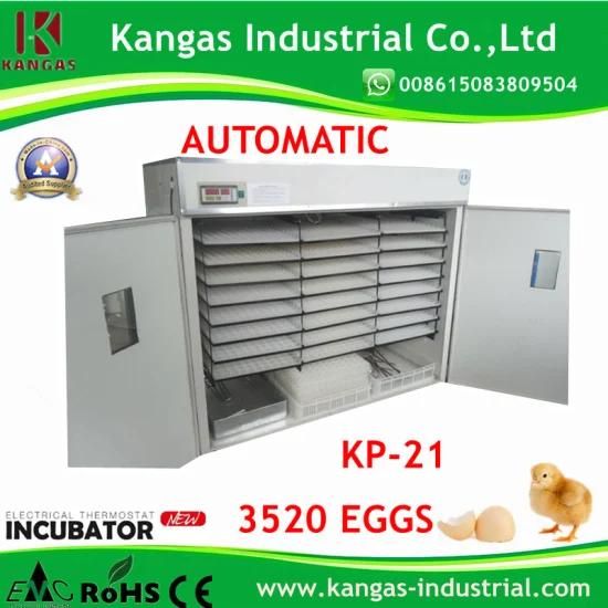 Holding 3000 Egg Full Automatic Industrial Chicken Egg Incubator (KP-21)