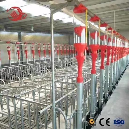 High Quality Chain Auger Conveying Pig Feeding System