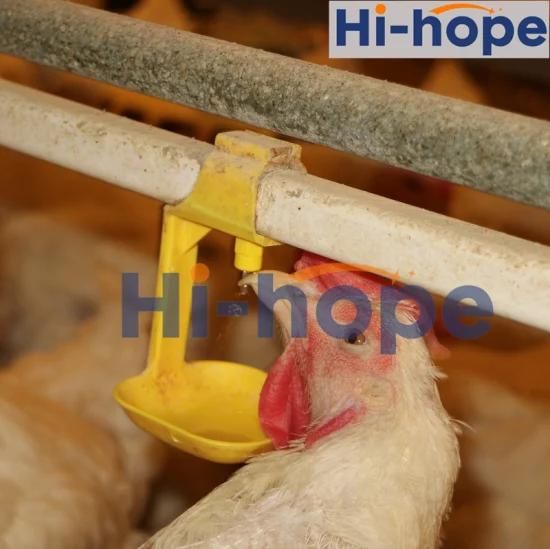 Poultry Broiler Farm Feeder and Drinker