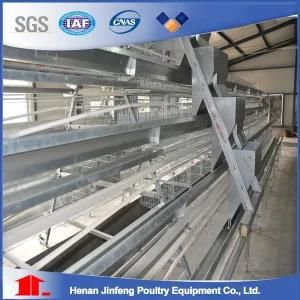 Automatic Poultry Equipment Chicken Cage on Sell (JFA90)