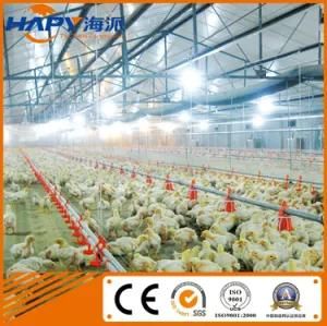 Chicken Poultry Farm Equipment with Prefab House in Low Price