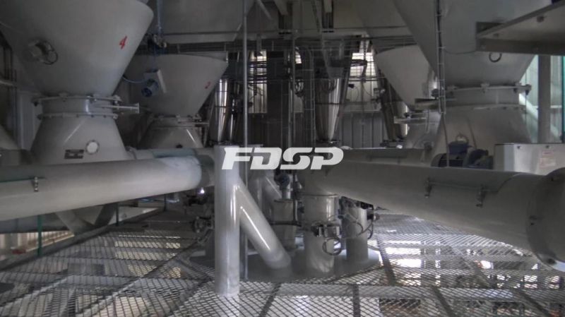 5-6t/H Feed Additives of Acidifiers and Fungicides Production Line