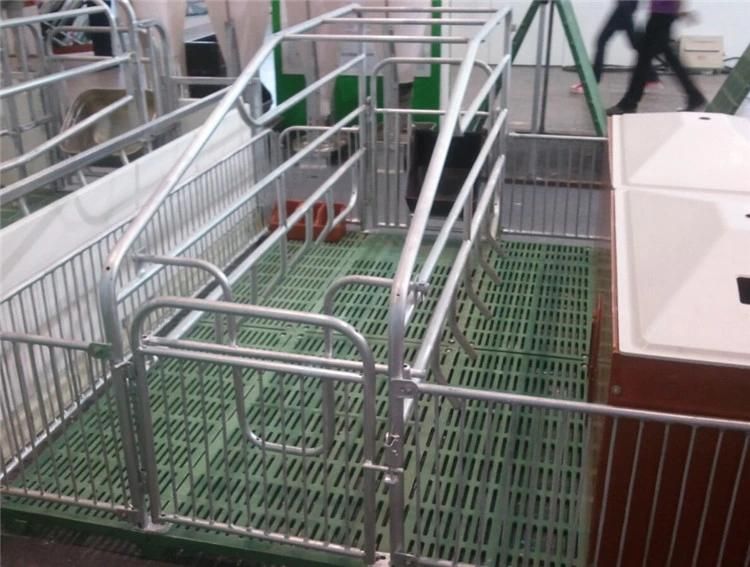 High Quality Galvanized Pig Farm Crates Equipment Farrowing Stall
