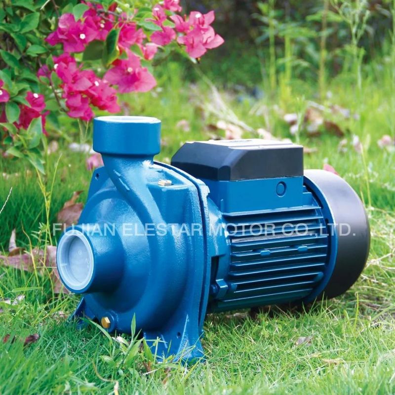 1HP Centrifugal High Flow Sewage Water Dtm Series Agricultural Irrigation Pumps