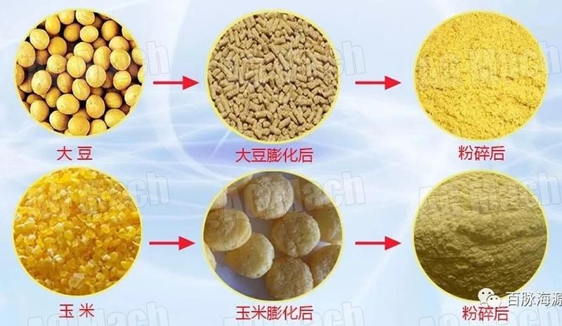 Screw Corn Meal Extruder Soya Bean Extrusion Machine