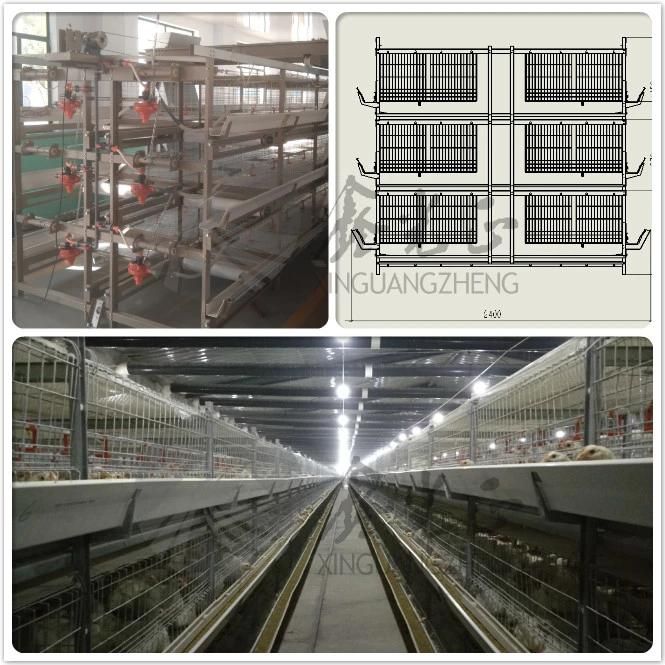 Low Cost Broiler Chicken Cage Equipment