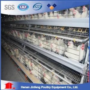a Frame Automatic Chicken Cage for Layer Poultry Farm