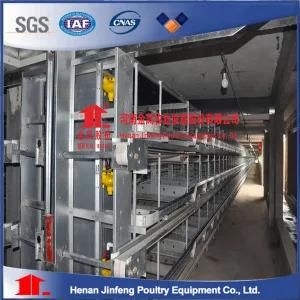 H Type Layer Chicken Battery Cages for Poultry Equipment