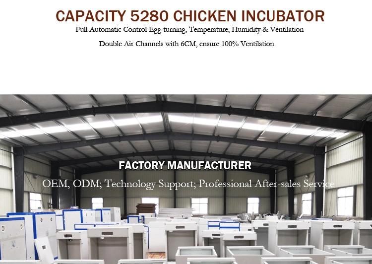 Available Small Poultry Egg Incubator Equipment 5280 Eggs Capacity