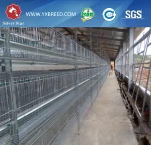 Four Tiers Full Automatic Layer Cage