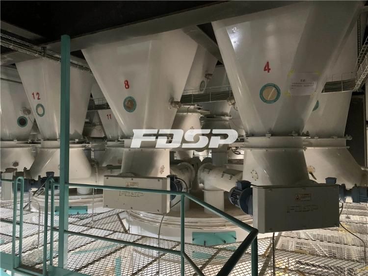 Large Capacity Concentrate Protein Feed Making Line