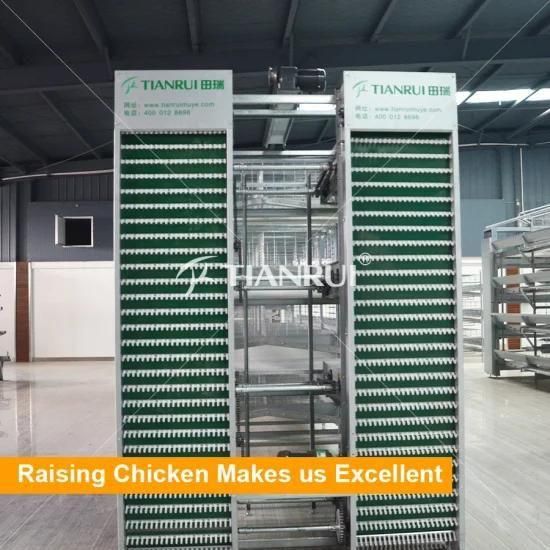 Automatic Poultry Farm Layer Cages for 20000 Chickens