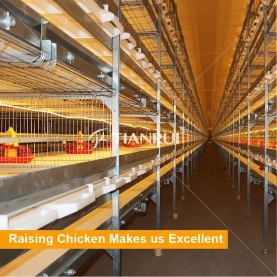 good Price of automatic chicken broiler cage system for sale