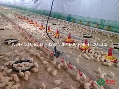 High Quality Automatic Equipment for Broiler Poultry House From China