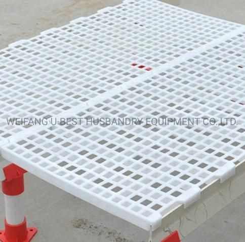 Pure Material PP Plastic Slat Floor for Chicken/Duck/Goose/Goat