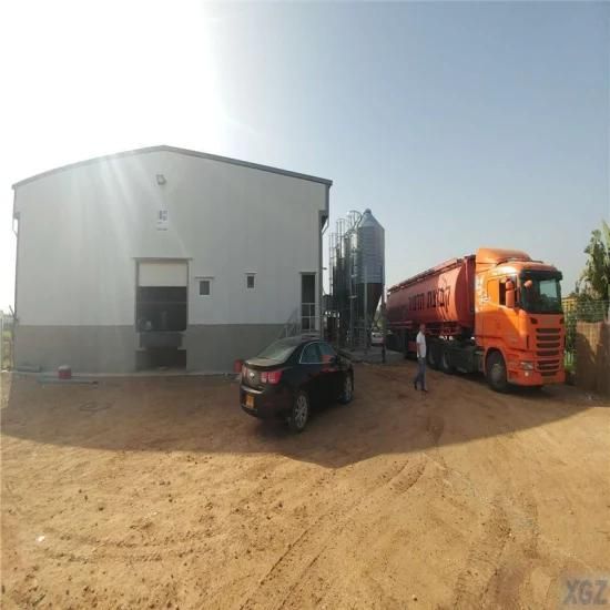 Long Time Usage Best Material Automatic Technical Poultry Farm Equipment