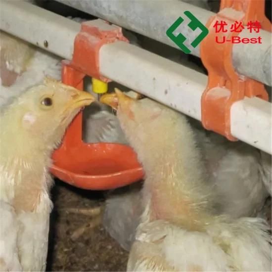 Chicken Water Drinker Poultry Automatic Drinker for Chickens