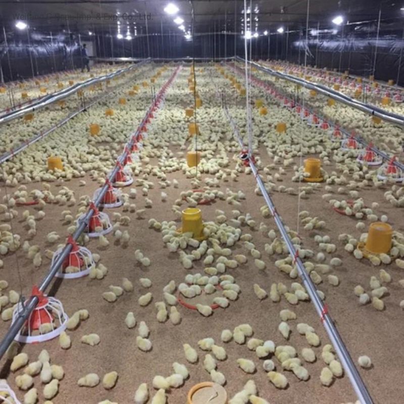 Automatic Environment Control System for Broiler Chicken House