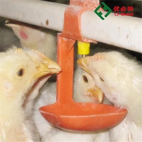 China Supplier Ubest Poultry Nipple Drinking System Poultry Farm Design