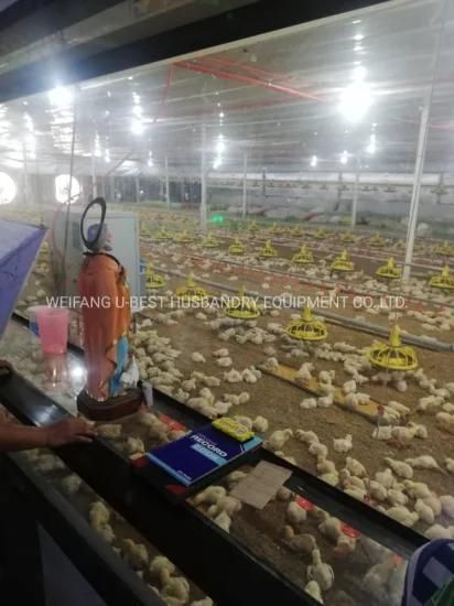 Ground Type Chicken Raising Automatic Climate Controlled Poultry Farm in Africa