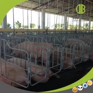 Pig Equipment Hot DIP Galvanized Pig Stall for Sales