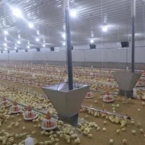 Chicken Farm Automatic Broiler Poultry Equipment with Free Poultry Shed Design