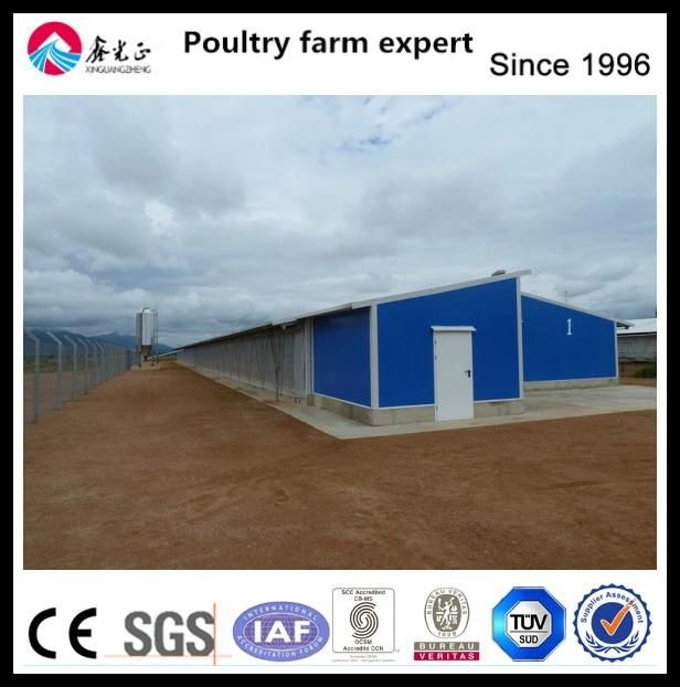 Hot Galv. Layer Chicken Cage