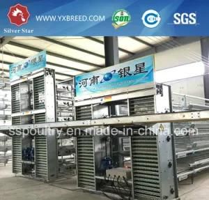 Top Quality Full Automatic Poultry Equipment for Poultry Farming