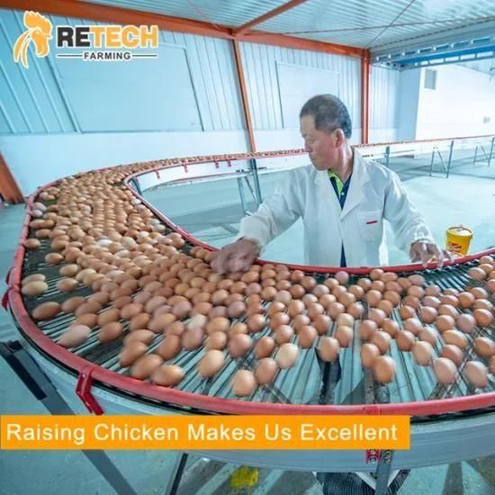 China design egg laying hens chicken coop poultry farm equipment in Nigeria