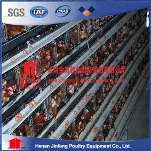 (JF2016) Layer Broiler Pullet Automatic Chicken Cage of Poultry Farm Equipment