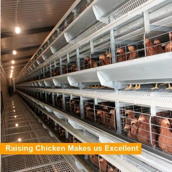 Uganda automatic poultry farm chicken layer cage for sale