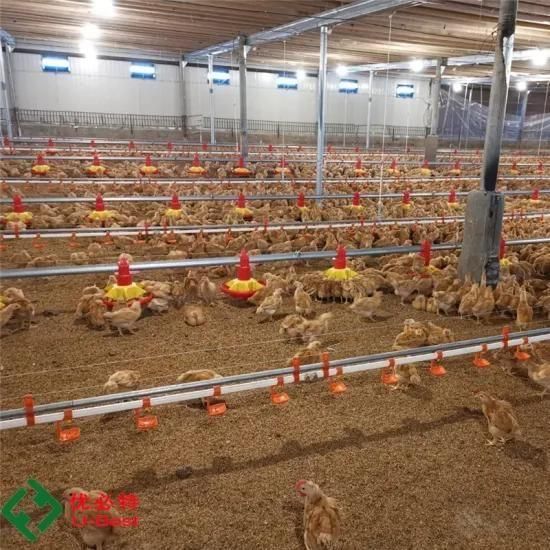 Automatic Chicken Broiler Control Farm Poultry Shed Equipment Machinery