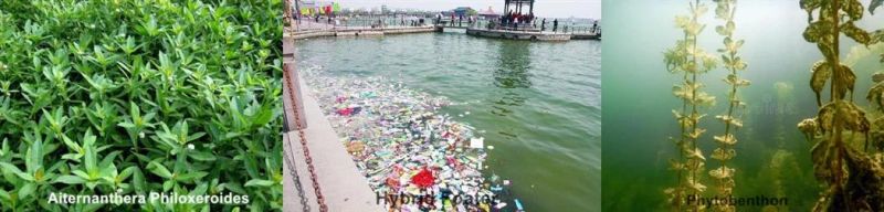 China Trash Collection Skimmer Boat for Cleaning Garbage in River