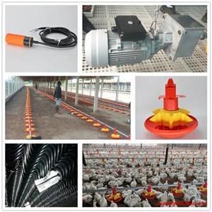 Chicken Poultry House Farming Equipment Broiler Project
