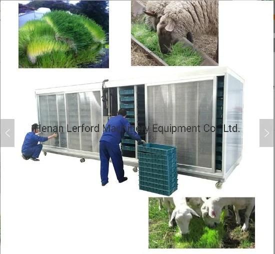 Hydroponic Grass Fodder Growing Systems Bean Sprout Making Machine