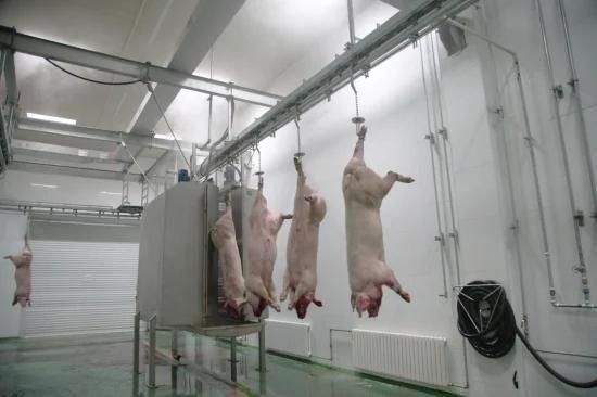 Efficiency Steam Type Pig Carcass Scalding Tunnel Meat Processing Machine
