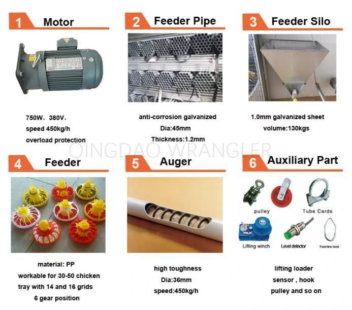 Famous Poultry Feeds Hopper for Filling System