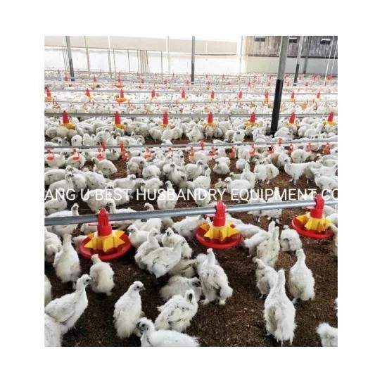 CE Approved Livestock Machinery Chicken Farming Feeder and Drinker Poultry House Equipment