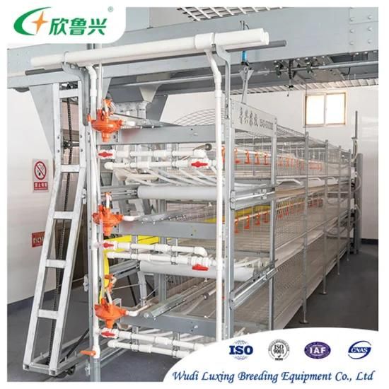 Manure Scraper Machine Poultry Farm Equipment in Bangladesh Heating Conveyor Belt for ...