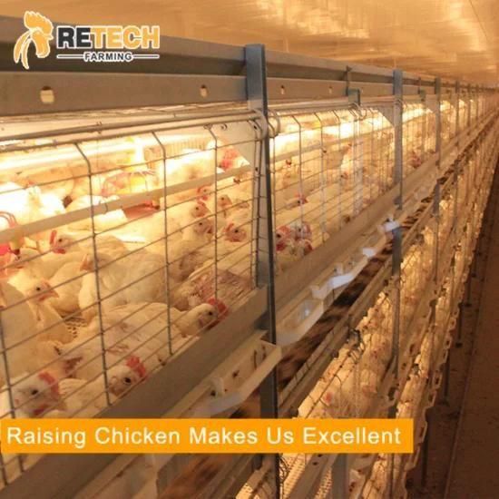 Automaitc poultry farm equipment broiler chicken battery cage
