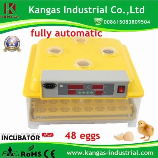 Hot-Sale Digital Mini Egg Incubator for Sale 48 Eggs Fully Automatic