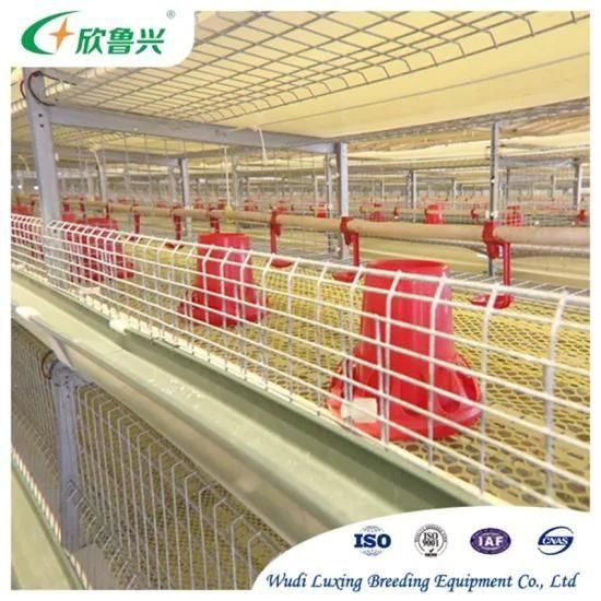 Hot Dipped Galvanized Laying Battery Day Old Broiler Rearing Cage