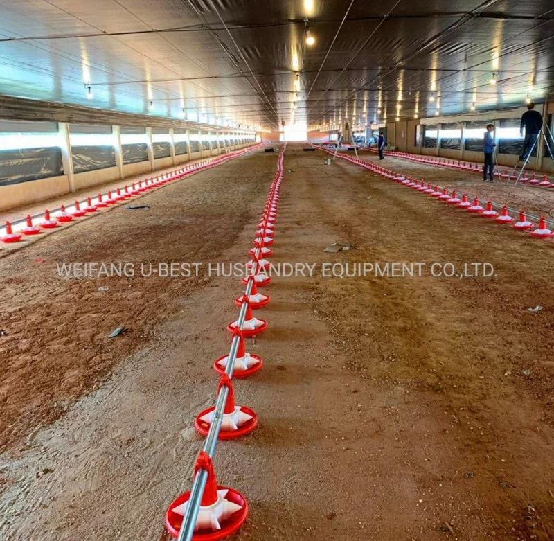 Prefabricated Poultry House Automatic System for Chicken Broiler Farm